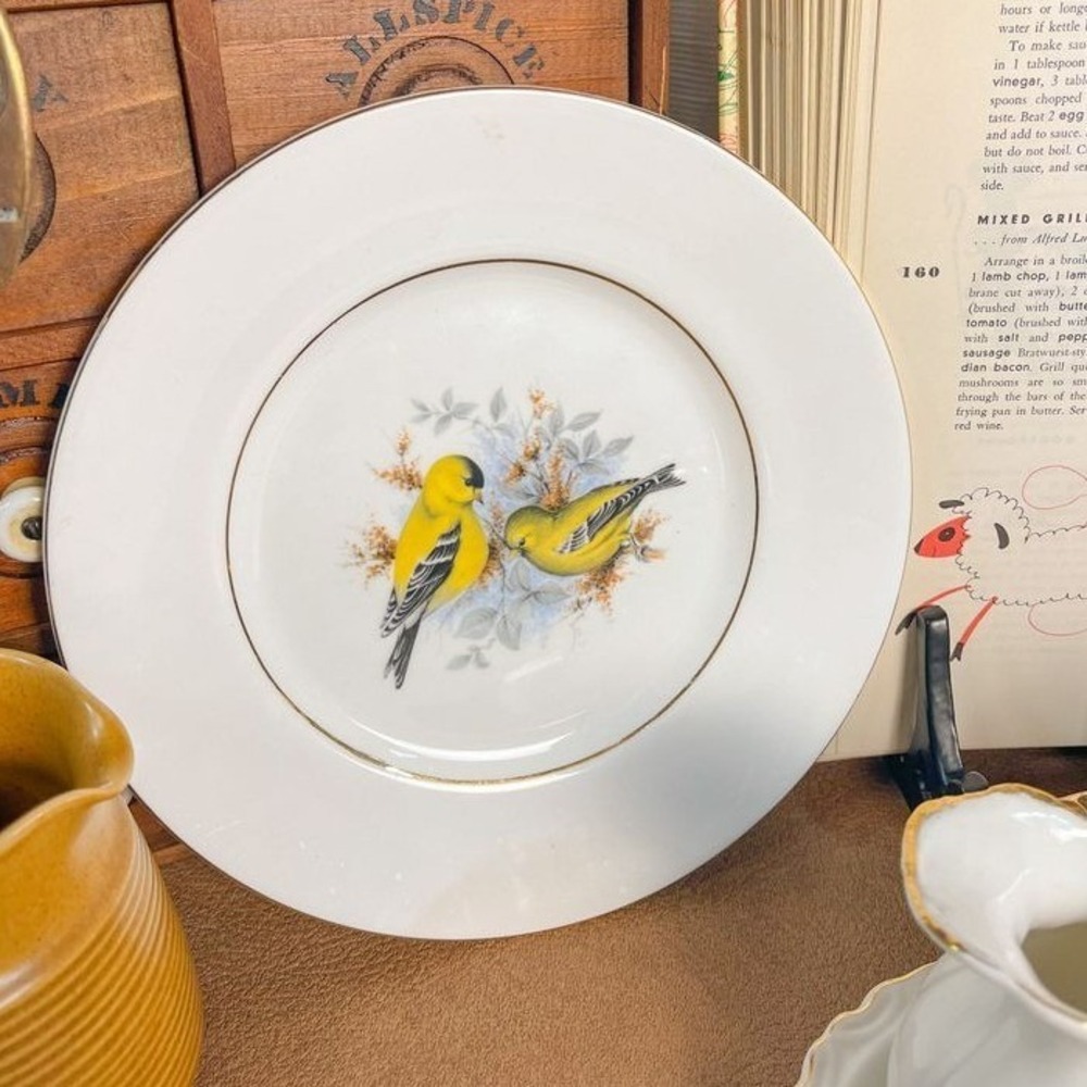 Queen's Birds of America Series 1 Fine Bone‎ China Plate